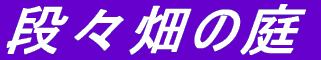 iX̒